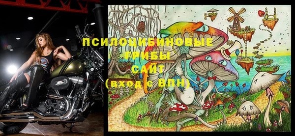 каннабис Абинск