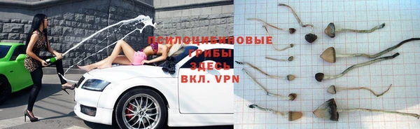 jwh Абаза