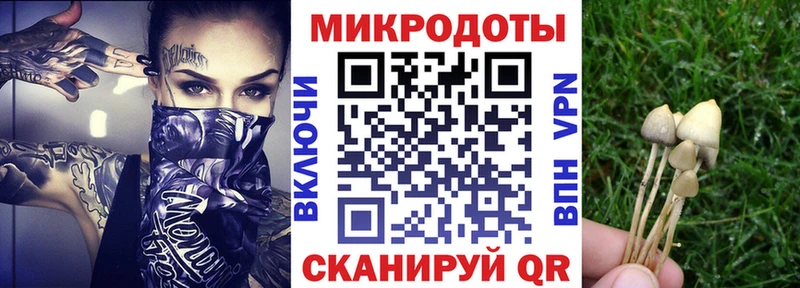 Галлюциногенные грибы прущие грибы  закладки  Тырныауз 